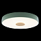 Светильник LOFT IT 10003/24 Green